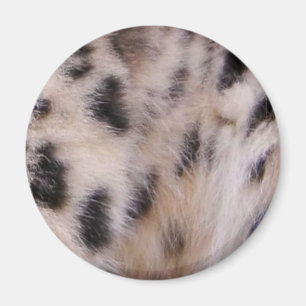 Imã Pele do leopardo de neve