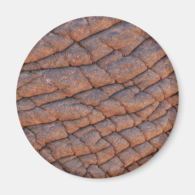 Imã Pele Elefante (Frente)