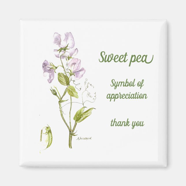 Imã Pele púrpura de pastel e pera-aquosa verde (Frente)