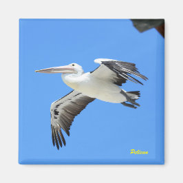 Imã Pelican