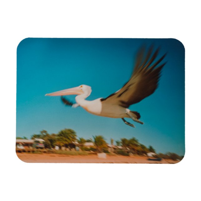 Ímã Pelican (Horizontal)