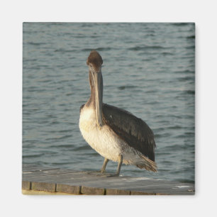 Imã Pelican. de Brown
