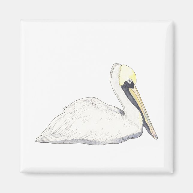 Imã Pelican Magnet (Frente)