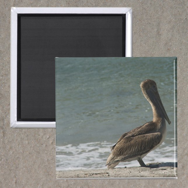 Imã Pelican no Beach Photo (A magnet with a photo of a brown pelican enjoying some time near the ocean on the beach.)