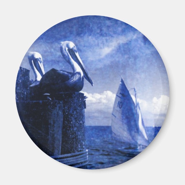 Imã Pelicanos de Azul (Frente)