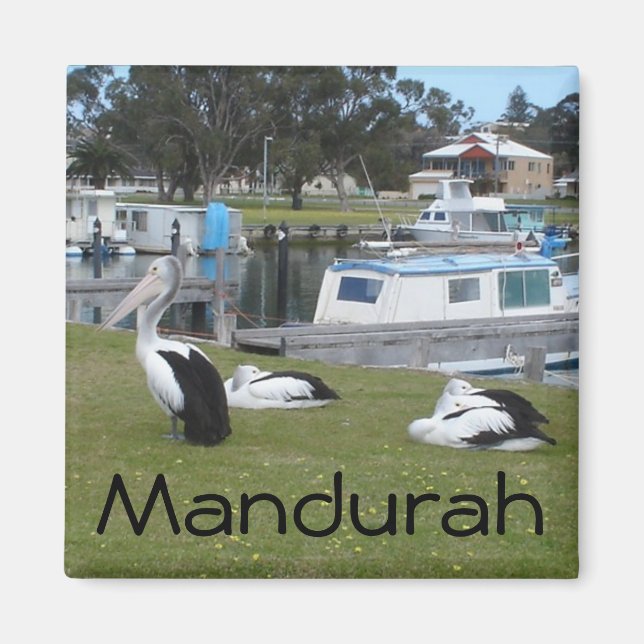 Imã Pelicanos em Mandurah (Frente)