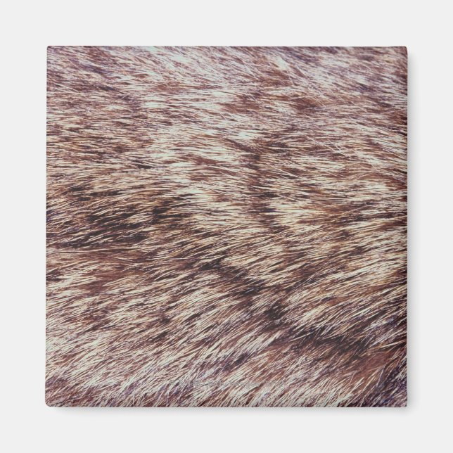 Imã pelo Lynx (Frente)