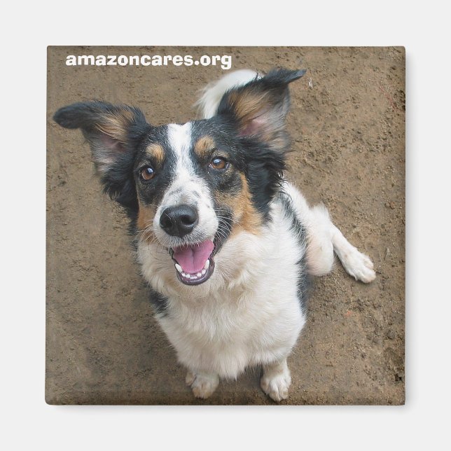 Imã Pelusa (Frente)