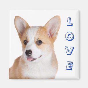 Imã Pembroke Welsh Corgi Love Refrigerator Magnet