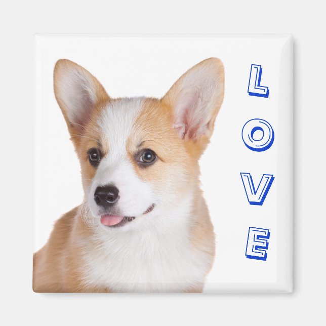 Imã Pembroke Welsh Corgi Love Refrigerator Magnet (Frente)