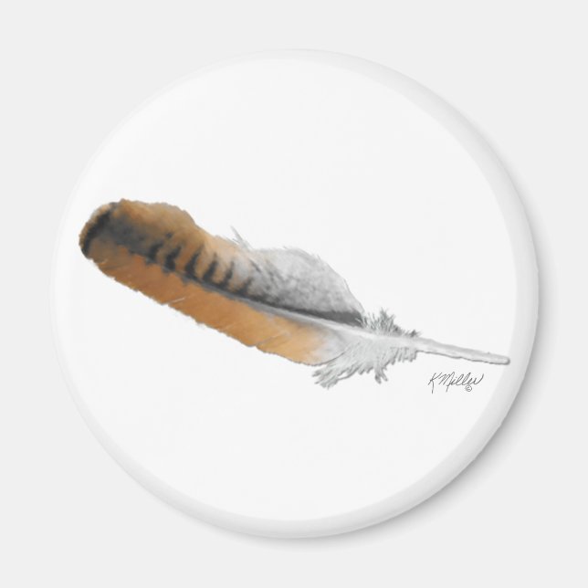 Imã pena de Falcão-de-cauda-vermelha (Frente)