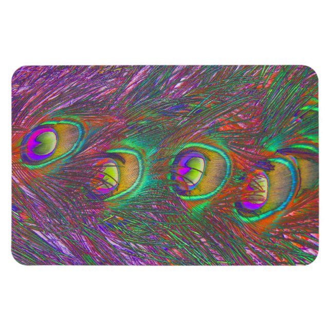 Ímã Penas de Natal Tinsel Peacock (Horizontal)