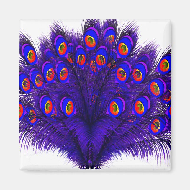 Imã Penas de Peacock (Frente)