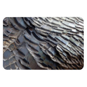 Ímã Penas de Peru Selvagem II Design Abstrato da Natur
