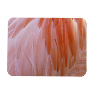 Ímã Penas Flamingo em tons de rosa