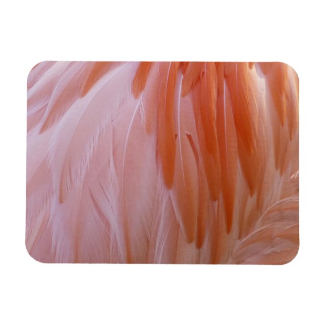 Ímã Penas Flamingo em tons de rosa (Horizontal)