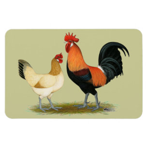Ímã Penedesenc a Chickens