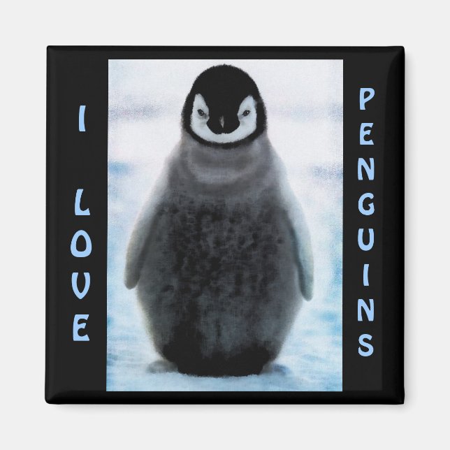 Imã Penguin Baby Penguin-lover do Magnet de Arte Fina (Frente)