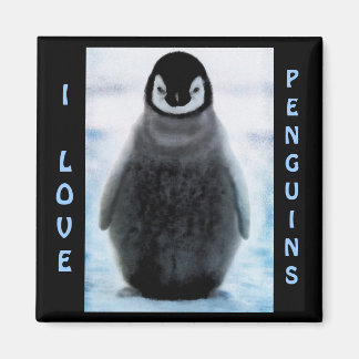 Imã Penguin Baby Penguin-lover do Magnet de Arte Fina