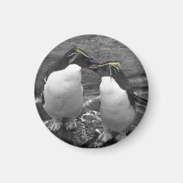 Imã Penguin Colour Splash