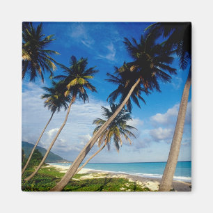 Imã Península de La Samana, República Dominicana,