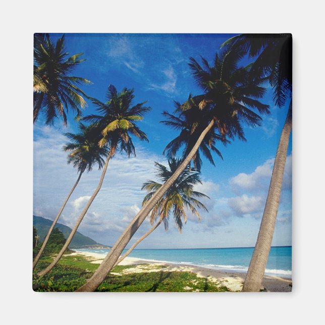 Imã Península de La Samana, República Dominicana, (Frente)