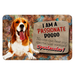 Ímã Pensamento hilário do seu Beagle