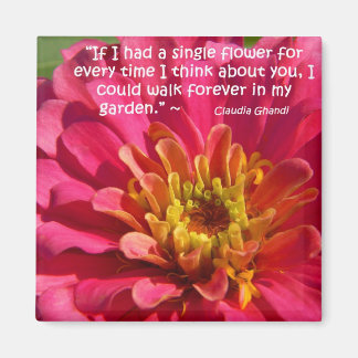 Imã Pensando Em Você...