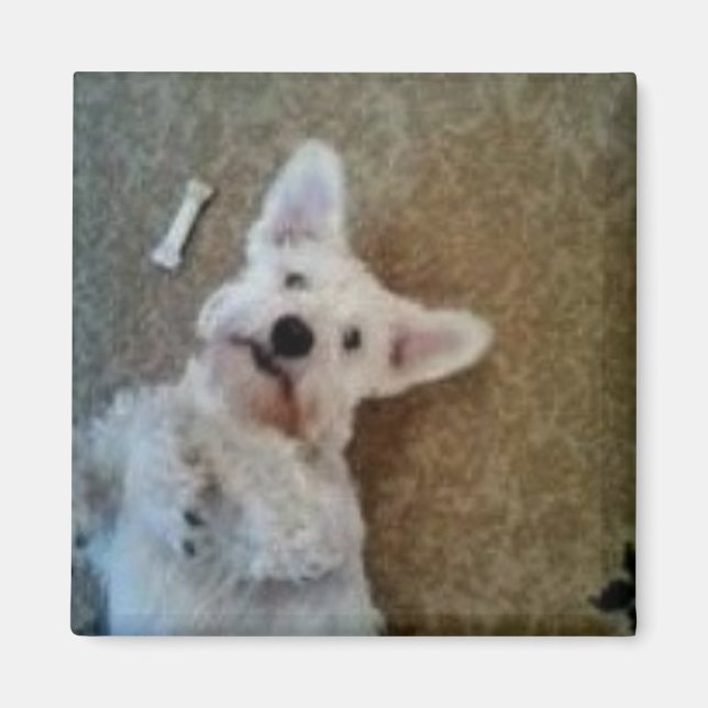 Imã Pensando Em Você, Magnet (Frente)