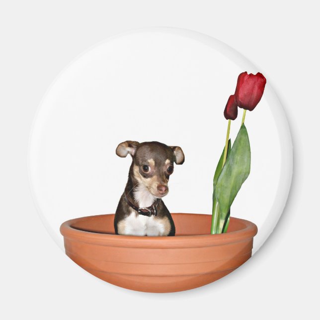 Imã Pense em primavera! (Frente)