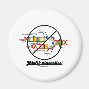 Imã Pense Epigenetics! (da cruz réplica do ADN para