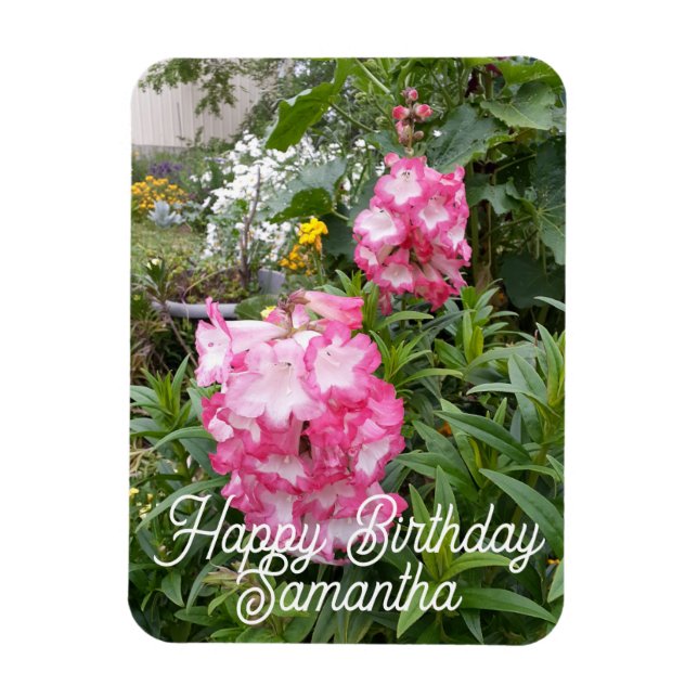 Ímã Penstem on Flower Garden floral Magnet (Vertical)
