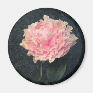Imã Peônia cor-de-rosa