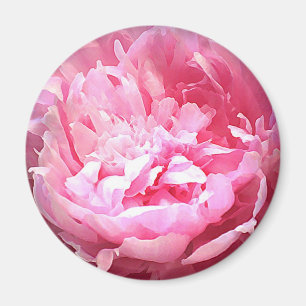Imã Peônia cor-de-rosa chocada