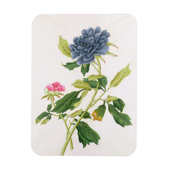 Ímã Peony (Vertical)