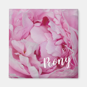 Imã Peony Blossom Rosa para amantes de flores e jardin