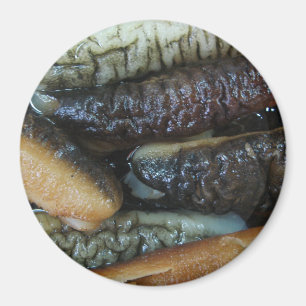 Imã Pepino do Mar ... Comida do Mercado Yaowarat