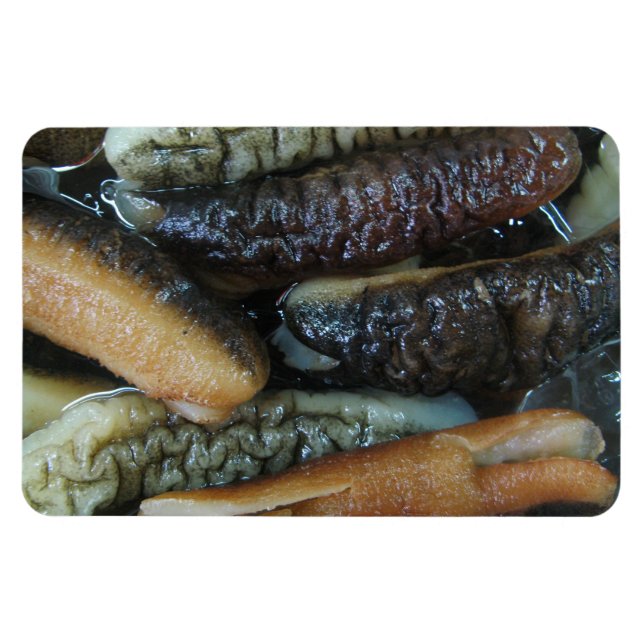 Ímã Pepino do Mar ... Comida do Mercado Yaowarat (Horizontal)