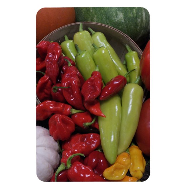 Ímã Peppers N Veggies Magnet (Vertical)