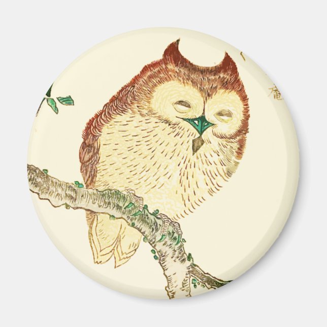 Imã Pequena coruja japonesa (Frente)