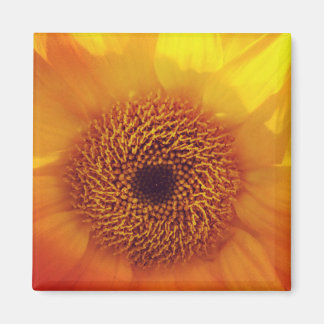 Imã Pequeno e Feliz Magneta