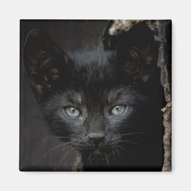 Imã Pequeno Gatinho Preto (Frente)