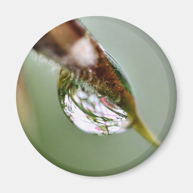 Imã Pequeno Gotas de Água do Mundo (Frente)