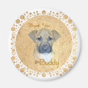 Imã Pequeno Pup Ferido - Resgatado!