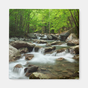 Imã Pequeno Rio Pombo em Greenbrier