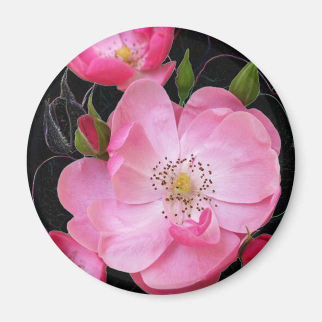 Imã pequeno rosebud abre (Frente)