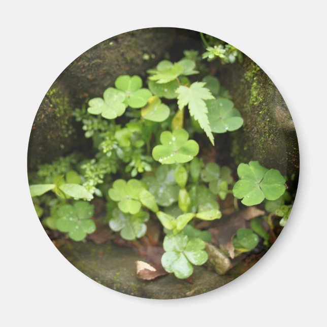 Imã Pequenos verdes (Frente)