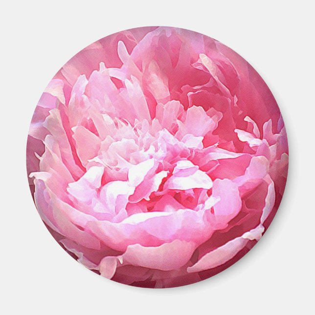 Imã Pequim Rosa Atingido (Frente)