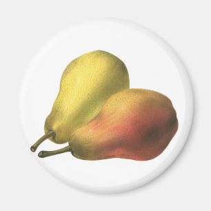 Imã Peras Antigas, Alimentos Orgânicos, Fruta Madura