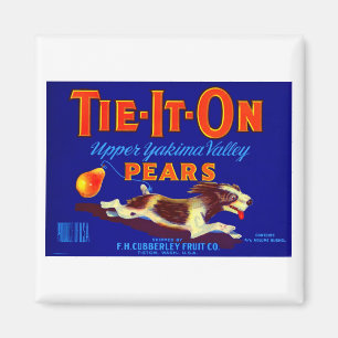 Imã Peras De Gravidez